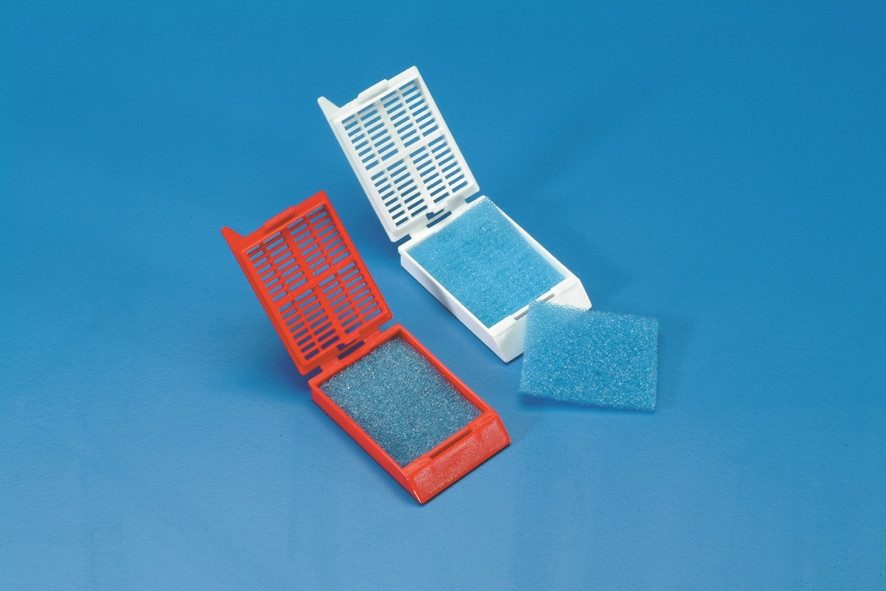 Esponjas Para Cassettes De Histolog A Microbiologia E Histologia Esponjas Para Cassettes De Histolog A Microbiologia E Histologia